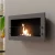 Texas bioethanol fireplace - Steel wall mounted fireplace with safety glass